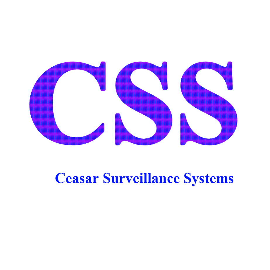 CSS Logo